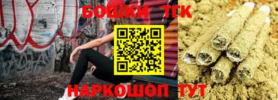 эйфоретик Славгород