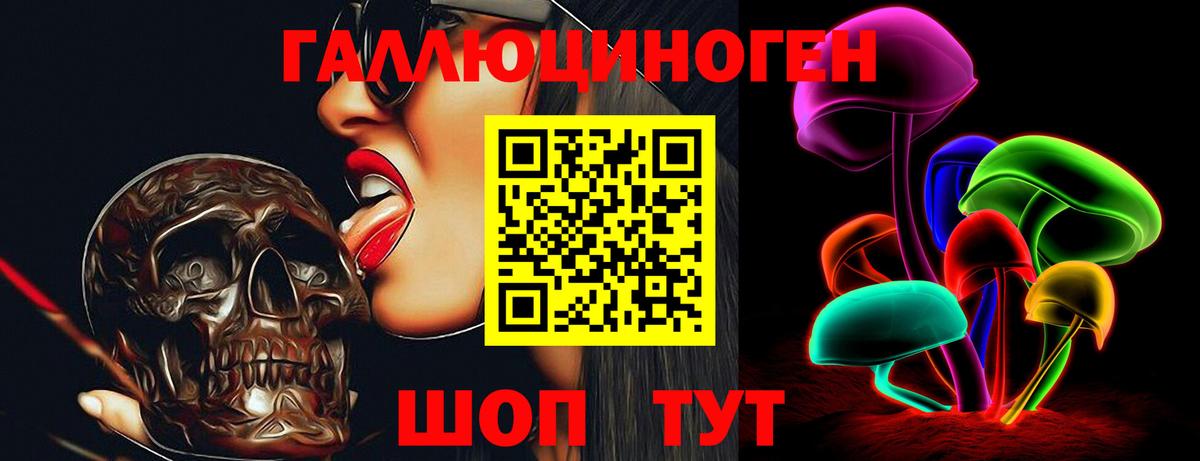 Псилоцибиновые грибы GOLDEN TEACHER Полысаево